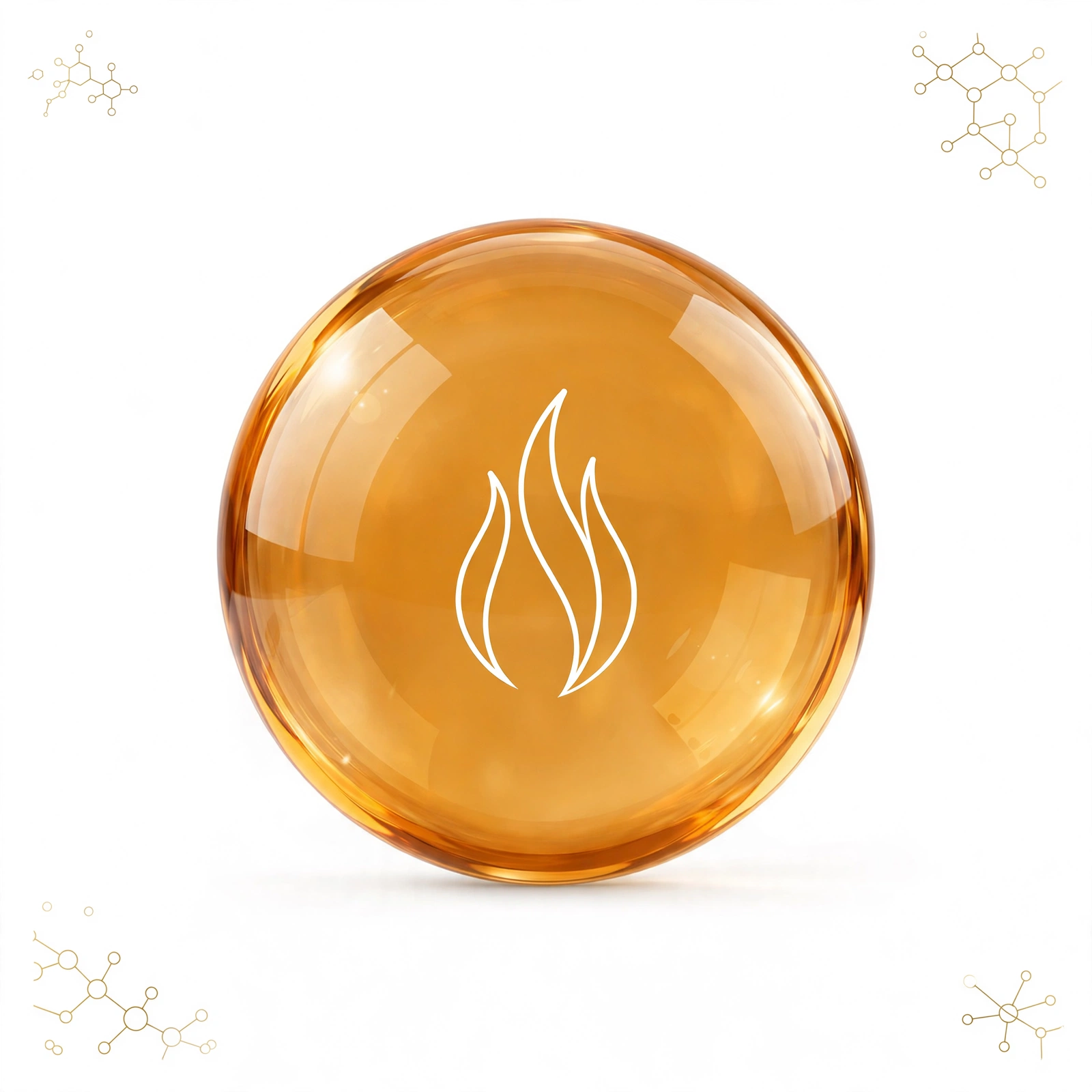 L-Carnitine gold medallion icon