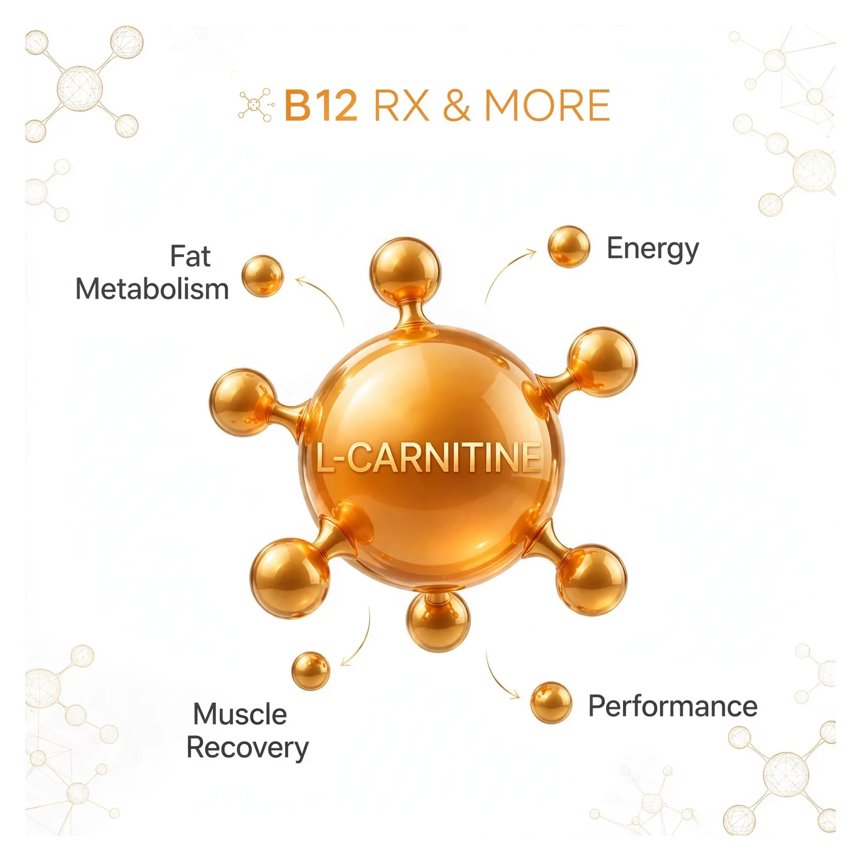 L-Carnitine
